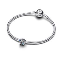 Charm Pandora Donna Animals and Pets in Argento 794695C01 - 794695C01